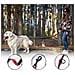 Guinzaglio Per Cani Regolabile Imbottito Riflettente 2 M Rosso - Foto miniatura 3