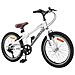 Mountain Bike 20 Pollici 6-Speed per 5-8 anni Bianco - Foto miniatura 2
