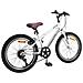 Mountain Bike 20 Pollici 6-Speed per 5-8 anni Bianco - Foto miniatura 3