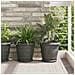 Vassoio Rotondo per Fiori 24 pcs Nero Ø 21,5 x 2,5 cm Plastica - Foto miniatura 2