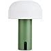 Lampada Led Solare Ricaricabile Soham In Pp Bianco E Verde Ø15 Cm - Foto miniatura 1
