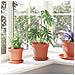 Vaso Rotondo per Fiori 6 pcs Rosso Mattone Ø 17 x 14 cm - Foto miniatura 4