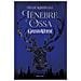 Leigh Bardugo - Tenebre E Ossa. Grishaverse - Foto miniatura 1