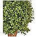Pianta Artificiale In Vaso 92 Cm Buxus Ball Tree - Foto miniatura 5