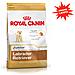 Cibo per Cani Royal Canin Labrador Retriever Junior 12 kg - Foto miniatura 1