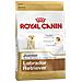 Cibo per Cani Royal Canin Labrador Retriever Junior 12 kg - Foto miniatura 2