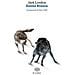 Jack London - Zanna Bianca - Foto miniatura 1