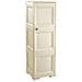 Mobile colonna portatutto 2 ripiani in resina cm 40x43x125 colore Angora - Foto miniatura 6