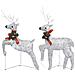 Renne di Natale 2 pz Argento 40 LED - Foto miniatura 1
