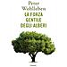 Peter Wohlleben - La Forza Gentile Degli Alberi - Foto miniatura 1