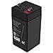 AGM37 batteria ricaricabile industriale Acido piombo (VRLA) 4000 mAh 4 V - Foto miniatura 2