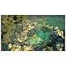 PS4 - Shadow Tactics: Blades of the Shogun - Foto miniatura 5