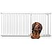 Bettacare Cancelletto Per Cani Elite Con Montaggio A Pressione, 171cm - 180cm, Bianco Opaco - Foto miniatura 1