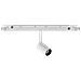 Ego Track Single 03w 3000k Dali Wh Lampada - Ideal Lux 286402 - Foto miniatura 1