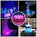 Luci Led A Striscia Con Ventosa E Manopola App, 13 Led, App+telecomando, Quattro Luci Un Controllo - Foto miniatura 4