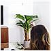 A1 Sirena Di Allarme Per La Sistema Di Allarme Domestico - Per Interni Usa - Wireless - Home Security - Foto miniatura 4
