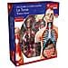 Explora - Anatomia Del Torso Umano - Esperimento Di Anatomia - Foto miniatura 1