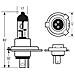 Lampadina Truck Master 24v 75/70w H4 - Foto miniatura 2