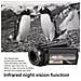 Videocamera 4k Uhd / 48 Mp / Grandangolo Con Zoom 16x - Foto miniatura 7