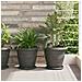 Vassoio Rotondo per Fiori 6 pcs Nero Ø 19 x 2 cm Plastica - Foto miniatura 2