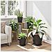 Vassoio Rotondo per Fiori 6 pcs Nero Ø 19 x 2 cm Plastica - Foto miniatura 4