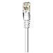 ICOC U5EB-003-WH - Cavo di rete Patch in Rame Cat. 5e Bianco UTP 0,3 mt - Foto miniatura 6