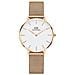 Orologio Daniel Wellington Classic Petite - Foto miniatura 6