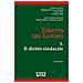 Franco Carinci, Paolo Tosi, Tiziano Treu, Raffaele De Luca Tamajo - Diritto Del Lavoro. 1: Il Diritto Sindacale - Foto miniatura 1