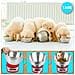 Ks865 Bilancia Da Cucina Digitale Ultrasottile - Portata 1g / 5 Kg - Alta Precisione - Funzione Tara - Superficie In Vetro - Foto miniatura 4