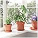 Vaso Rotondo per Fiori 24 pcs Rosso Mattone Ø 17 x 14 cm - Foto miniatura 4