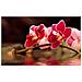 Fotomurale - Fiori D'orchidea Riflessi Nell'acqua 450x270 Cm - Foto miniatura 3