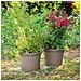 Vaso Per Fiori Rotondo Day R Camel - 60 Cm - Foto miniatura 1