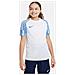 T-Shirt Dri-Fit Academy Dh8369-102 Bambino Taglia Xl Colore Bianco /Blu - Foto miniatura 1