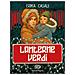 Erika Casali - Lanterne verdi - Foto miniatura 1
