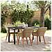Set da Pranzo da Giardino Beige in Poly Rattan da 5 Pezzi - Foto miniatura 2