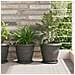 Vaso Rotondo per Fiori 6 pcs Nero Ø 26 x 21.5 cm Plastica - Foto miniatura 2