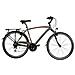 Bici Uomo City Bike Misura 28 Linea Zefiro Bicicletta Acera 24v Forcella Idraulica Telaio Alluminio Zfr24vsf Luci A Led - 52 Titanio Rosso Opaco - Foto miniatura 1