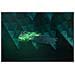 Huntsman V2 tastiera Gaming USB QWERTY Inglese US Nero - Foto miniatura 3
