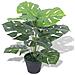 Monstera Artificiale Con Vaso 45 Cm Verde - Foto miniatura 1