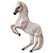 Lipizzaner Stallion, 3.9 ""lunghezza X 5.7"" Altezza - Foto miniatura 1