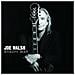 Cd Walsh Joe - Analog Man - Foto miniatura 1