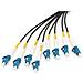 Cavo breakout universale in fibra ottica dotato di terminali, Multimode OS2, 8 fibre, LC /UPC - LC /UPC - Foto miniatura 2
