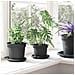 Vaso Rotondo per Fiori 24 pcs Nero Ø 12,5 x 10 cm Plastica - Foto miniatura 4