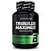 Tribulus Maximus 90 Tabs - Biotech Usa - Anabolics - - Foto miniatura 3