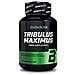 Tribulus Maximus 90 Tabs - Biotech Usa - Anabolics - - Foto miniatura 5