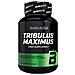 Tribulus Maximus 90 Tabs - Biotech Usa - Anabolics - - Foto miniatura 4