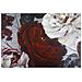 Dipinto Su Tela White Red Flower Composizione Floreale Rosso Bordeaux E Bianco 120x60 Cm - Foto miniatura 3