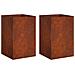 Vaso da giardino 2 pz Ruggine 50 x 50 x 75 cm Acciaio Corten - Foto miniatura 1