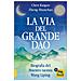 Chen Kaiguo - La via del Grande Dao. Biografia del Maestro taoista Wang Liping - Foto miniatura 1
