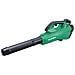RB36DA W4Z soffiatore di foglie cordless Nero, Verde - Foto miniatura 1